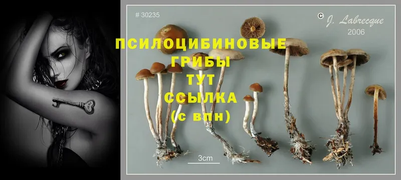 Галлюциногенные грибы MAGIC MUSHROOMS  кракен ТОР  Лобня 